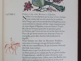 an open book with a picture of a bird on it