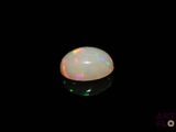 an oplite in the dark with a black background