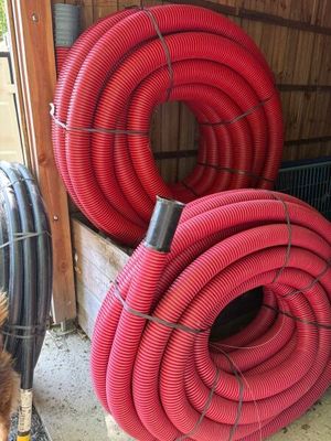 a dog standing next to a pile of red hoses