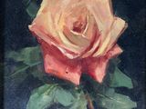 an oil painting of a pink rose on a black background