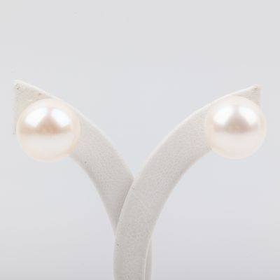 pair of pearl earrings on a white stand on a white background