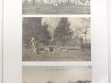 two pictures of horses and people in a field
