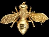 une image représentant une broche en forme d'abeille plaquée or sur fond noir