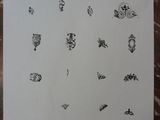 a piece of paper with drawings on it on a table