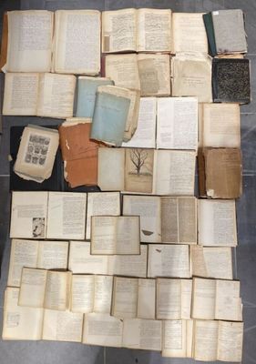 un grand nombre de livres posés sur le sol