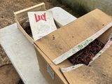 a box with a bunch of worms in it on a table