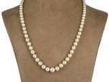 un collier de perles blanches sur un mannequin mannequin mannequin mannequin mannequin mannequin mannequin mannequin mannequin mannequin