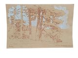 an image of a drawing of trees in a forest