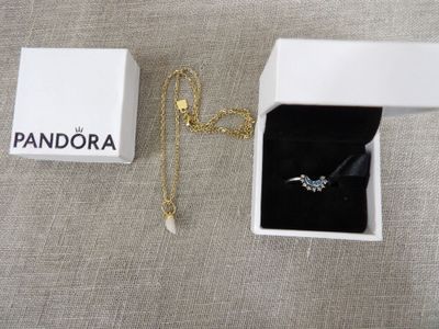 a close up of a box with a necklace in it
