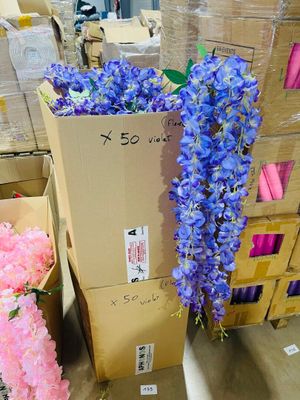 many boxes of flowers that are sitting on the floor