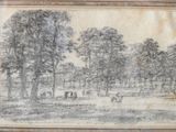 drawing of a wooded landscape with cattle grazing in the foreground