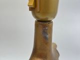 a gold fire hydrant with a black hose attached to it