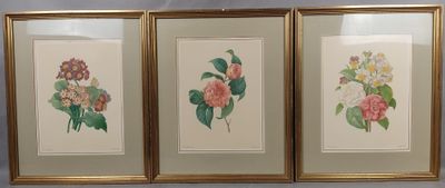 Trois tableaux représentant des fleurs sont accrochés au mur.