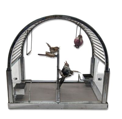 trois oiseaux qui sont dans une cage à oiseaux