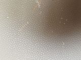 a close up of a black and white picture of a bug on a white surface