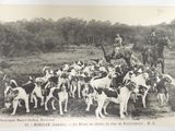 une photo en noir et blanc représentant un groupe de chiens et un homme à cheval
