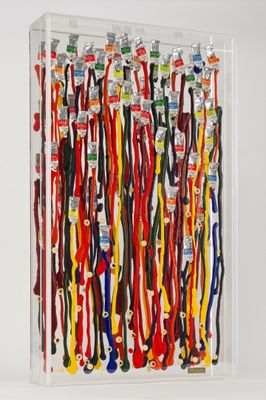 a picture of a display case with a lot of different colored leashes