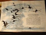 a book with a picture of birds flying in the sky
