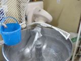un grand saladier en métal rempli d'eau et un seau bleu