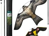 un oiseau qui vole à côté d'autres objets