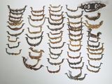 de nombreuses poignées en laiton anciennes sur un mur blanc
