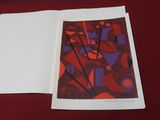 an open book with a picture of a woman on it on a red surface