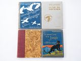 plusieurs livres sont alignés sur une surface blanche