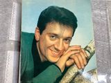 a picture of a man that is sitting in a tree