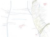 drawing of a piece of paper with a drawing of a tree on it