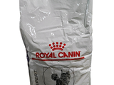 un sac de croquettes Royal Canin pour chat sur fond blanc
