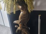 une plante posée sur une table