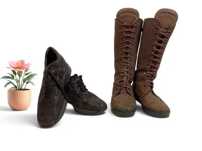 deux paires de bottes posées à côté d'une plante en pot