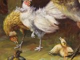 a painting of a group of chickens in a barn