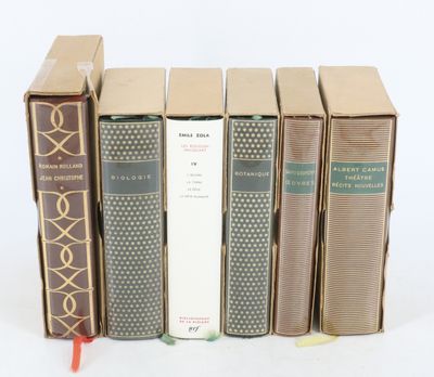 plusieurs livres sont alignés sur une surface blanche