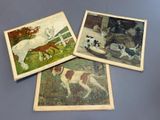 trois cartes postales anciennes représentant des chiens et des chevaux, posées sur une table