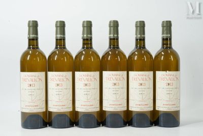 six bouteilles de vin sont alignées sur une surface blanche