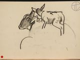drawing of two cows in a pen and ink on paper
