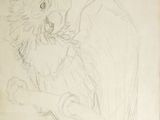 dessin au crayon représentant un oiseau perché sur une branche d'arbre