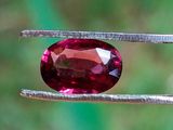 un gros plan d'une pierre précieuse rouge tenue par une pince
