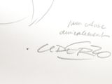 Photo 3/3 du lot