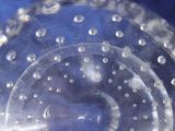 someone is holding a clear plastic object with water droplets on it
