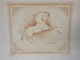 drawing of a white horse in a circle with a brown border