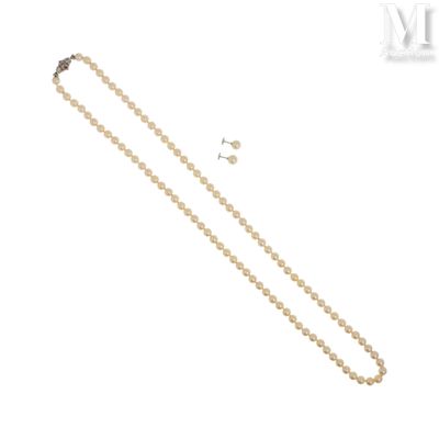 un gros plan d'un collier et d'une boucle d'oreille sur fond blanc