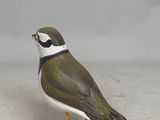 a small bird that is standing on a white surface