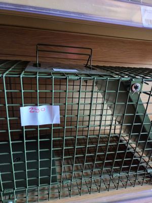 a cat in a cage on the shelf of a store