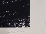 a black and white photo of a black and white picture