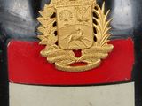 a close up of a badge on a helmet