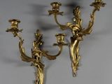 pair of antique brass wall sconces with flowers and leaves