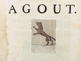 an old book with a picture of a cat on it ' s cover