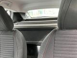 a cat that is sitting in the back seat of a car